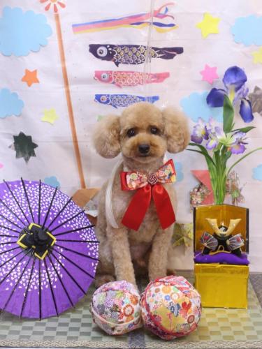 20240509ぱるくん